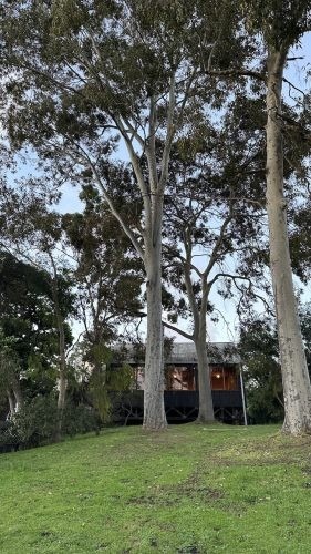 Lava Lamp, Kew 78