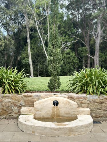 Pastis, Alstonville