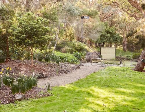 backyard outdoor area
