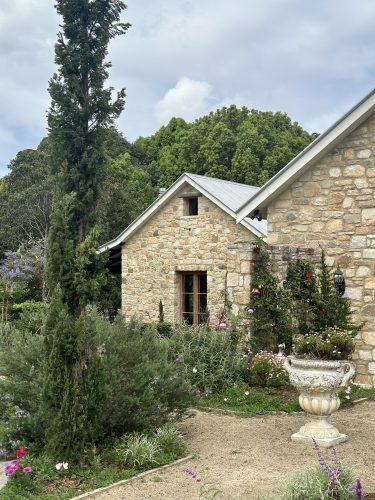 Pastis, Alstonville
