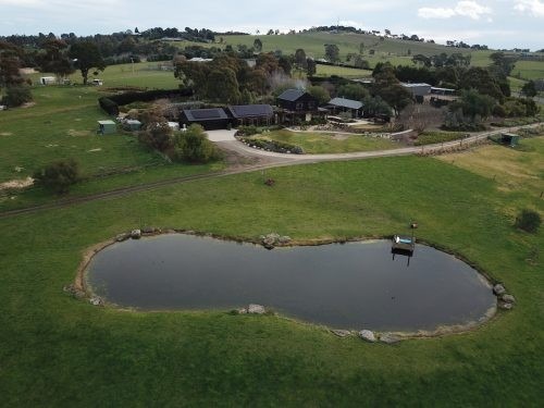 Nightshade, Kangaroo Ground 56