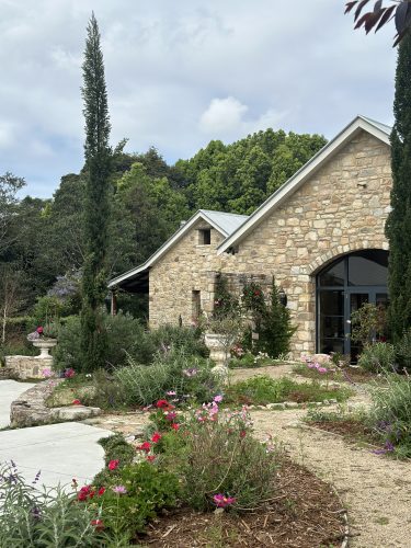 Pastis, Alstonville