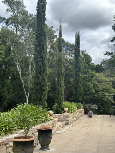 Pastis, Alstonville
