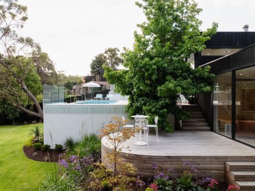 backyard garden established