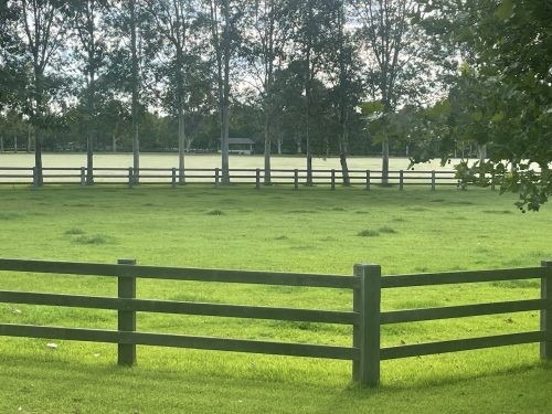 Briscoe Farm, Richmond Lowlands 21