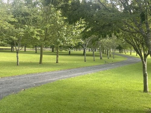 driveway