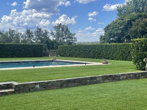 Briscoe Farm, Richmond Lowlands 36