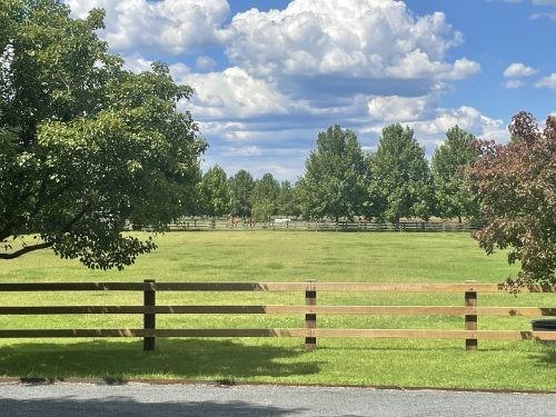 Briscoe Farm, Richmond Lowlands 40