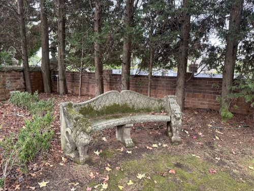 IMG_3793