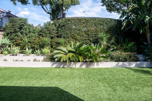 garden established