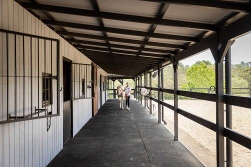 Paradise Ranch, Terry Hills 18