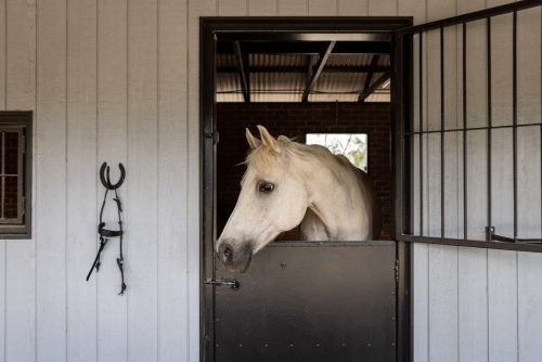 Paradise Ranch, Terry Hills 19