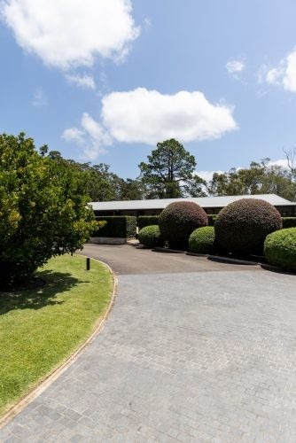 Paradise Ranch, Terry Hills 21