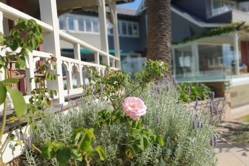 Queen Anne, Vaucluse 46