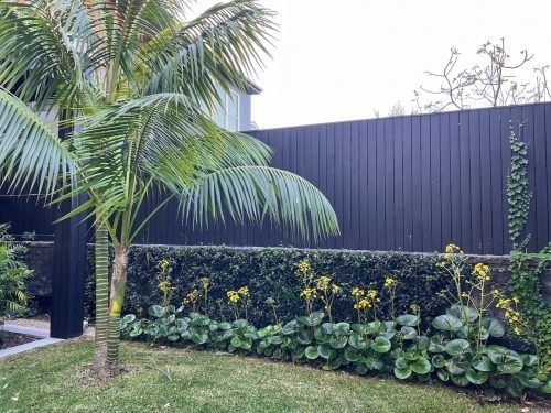 garden established
