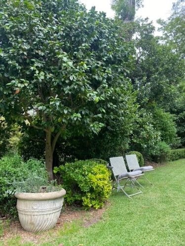 The Countess, Warrawee 36