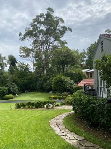 The Countess, Warrawee 37
