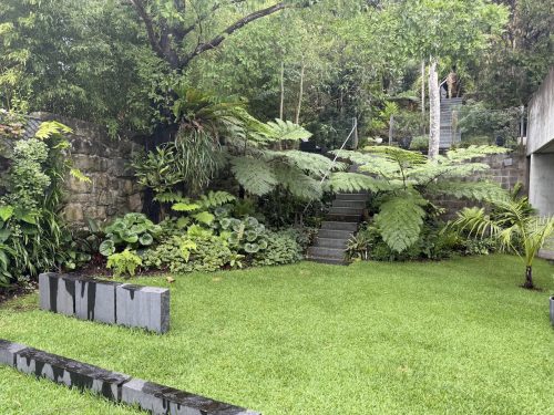 backyard garden established