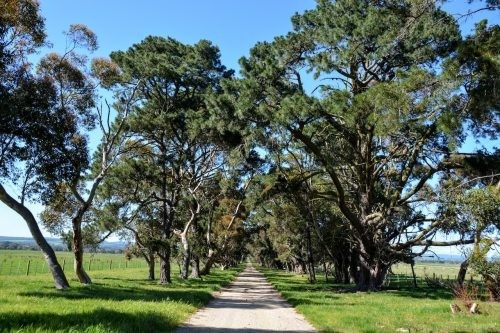 driveway