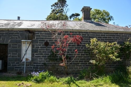 Abbotsford, Winchelsea 10