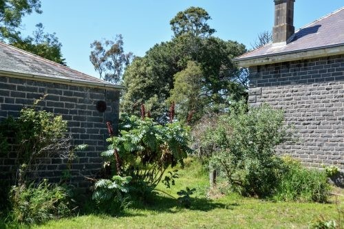 garden established