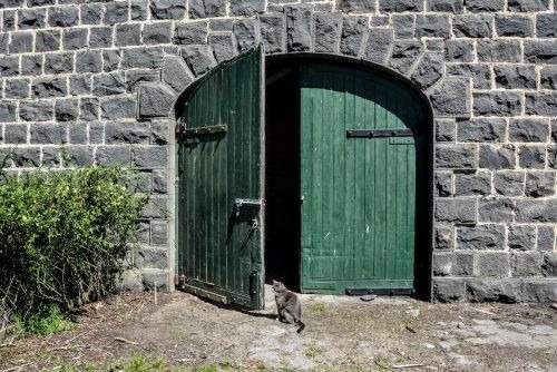 Abbotsford, Winchelsea 12