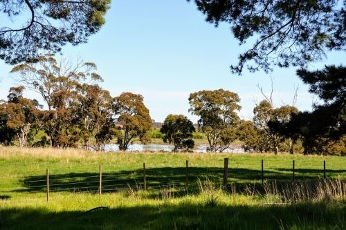 Abbotsford, Winchelsea 2