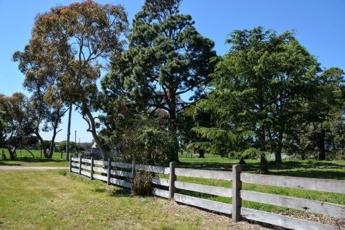 Abbotsford, Winchelsea 20