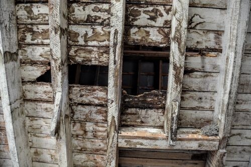 Abbotsford, Winchelsea 24