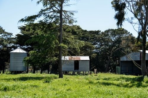 Abbotsford, Winchelsea 3