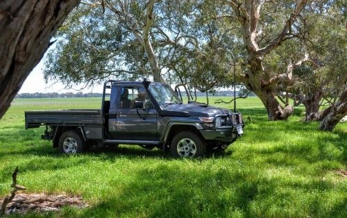 Abbotsford, Winchelsea 31