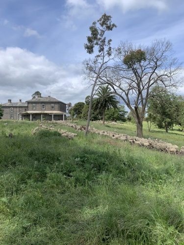 Abbotsford, Winchelsea 38