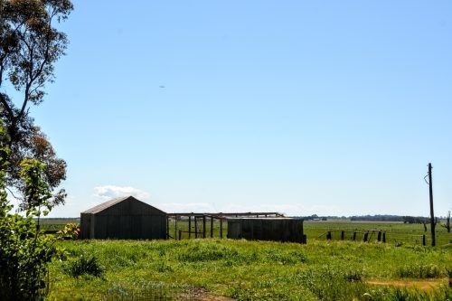 Abbotsford, Winchelsea 4