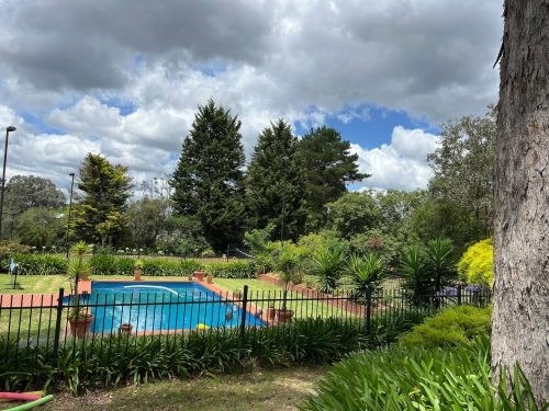 Alfie, Warrandyte 11