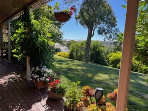 Alfie, Warrandyte 23
