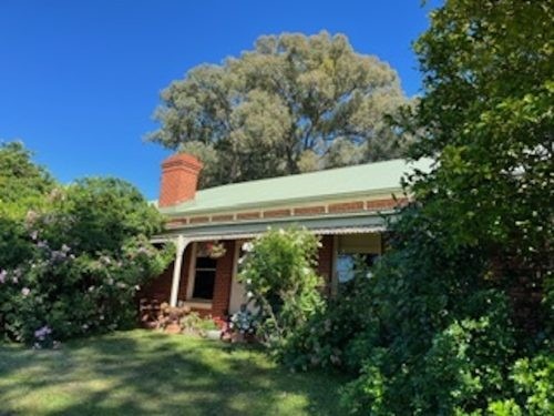 Alfie, Warrandyte 26