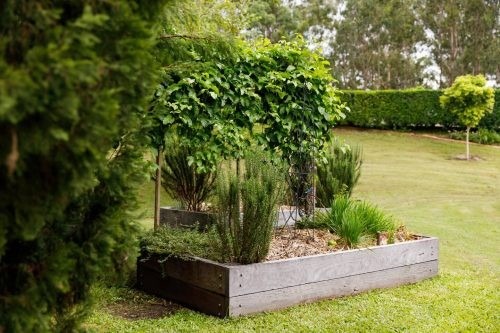 garden established