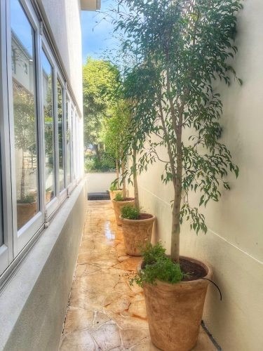 Happy Place, Toorak 19