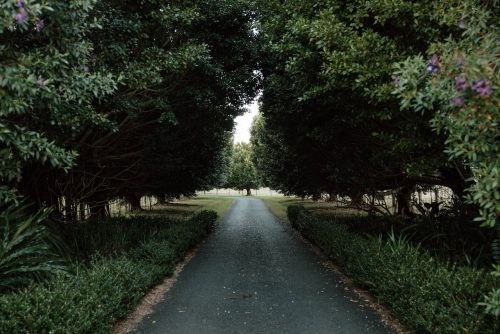 driveway