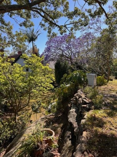 garden established