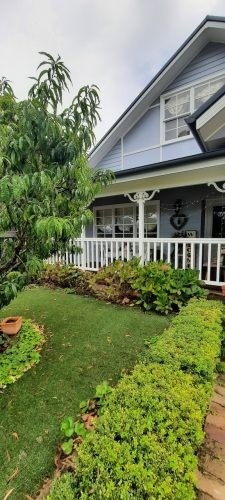 backyard garden established