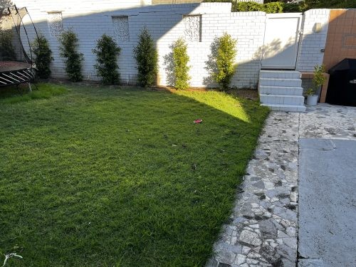 garden established pool