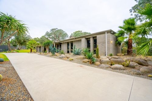 Cosmic Desert, Warrandyte 17