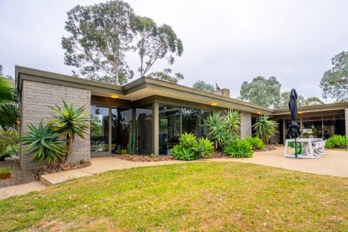 Cosmic Desert, Warrandyte 32