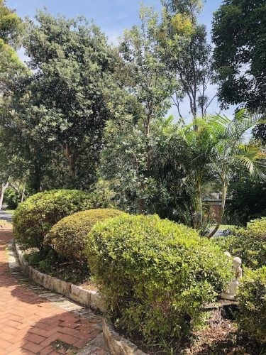 garden established