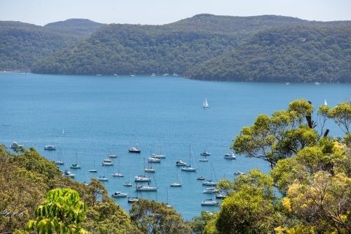 103 Hilltop Rd, Avalon Beach