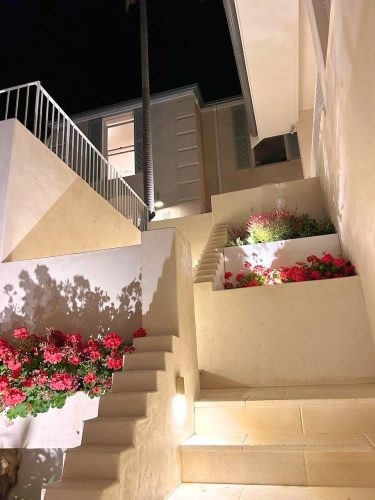 Le Monde, Avalon beach 29