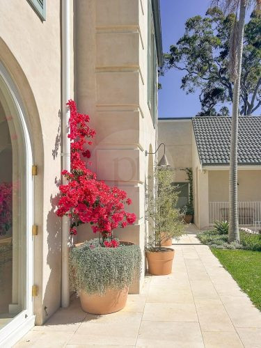Le Monde, Avalon beach 37