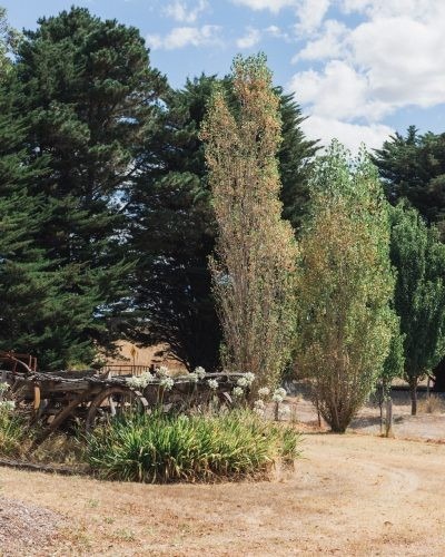 Maravilla, Tooborac 138