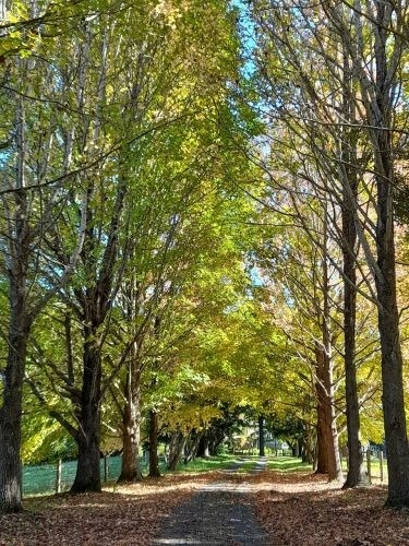 driveway